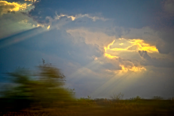 Speeding Through The Meadowlands