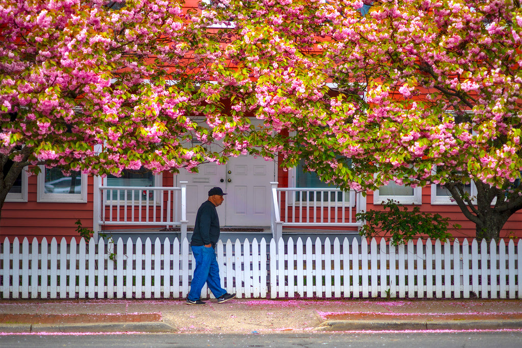 In The Pink
