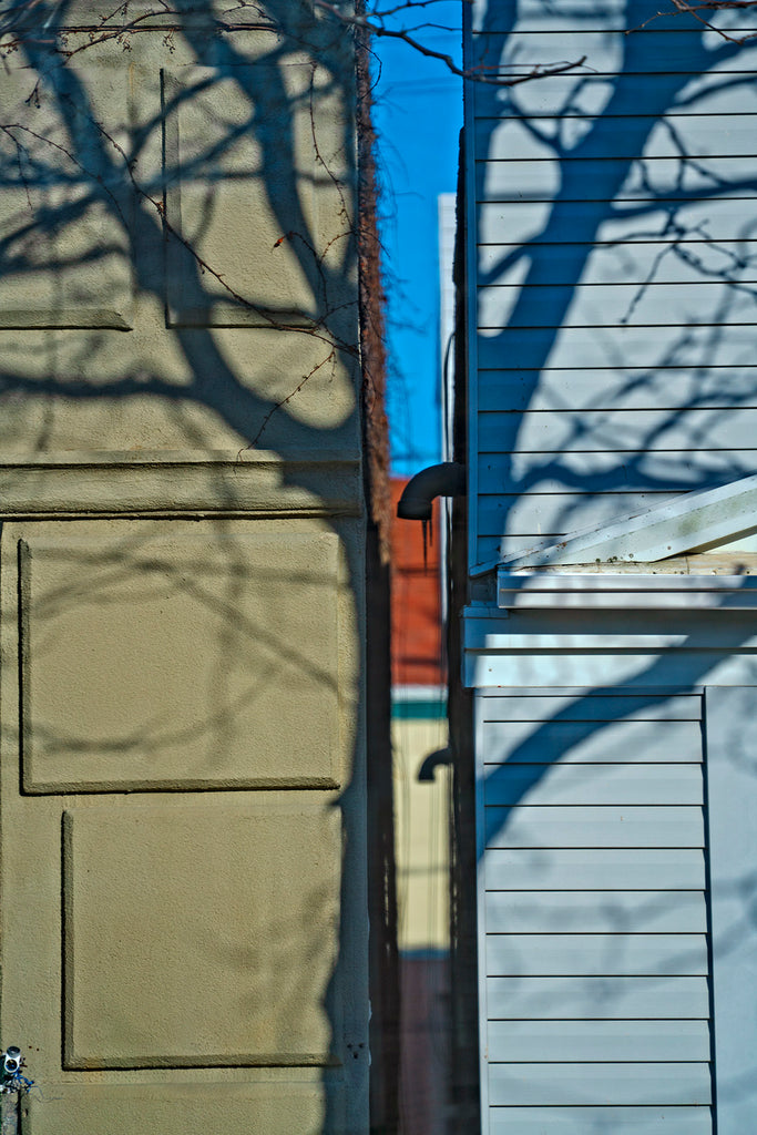 Split Tree