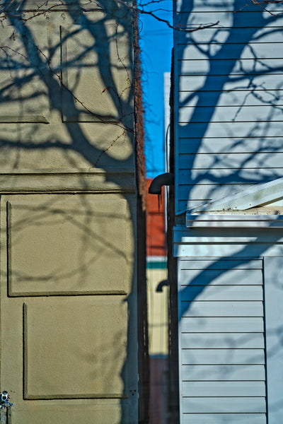 Split Tree
