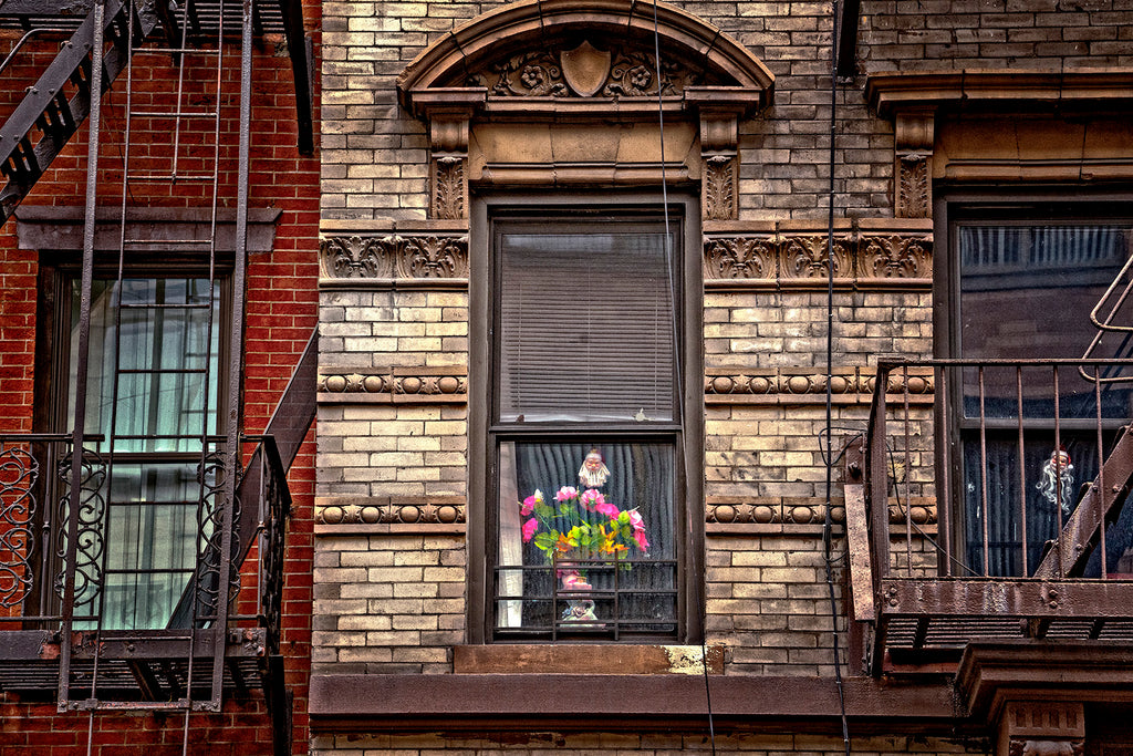 The window between fire escapes