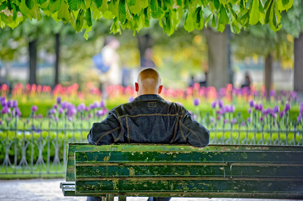 Paris Bench