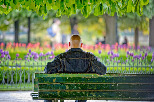 Paris Bench