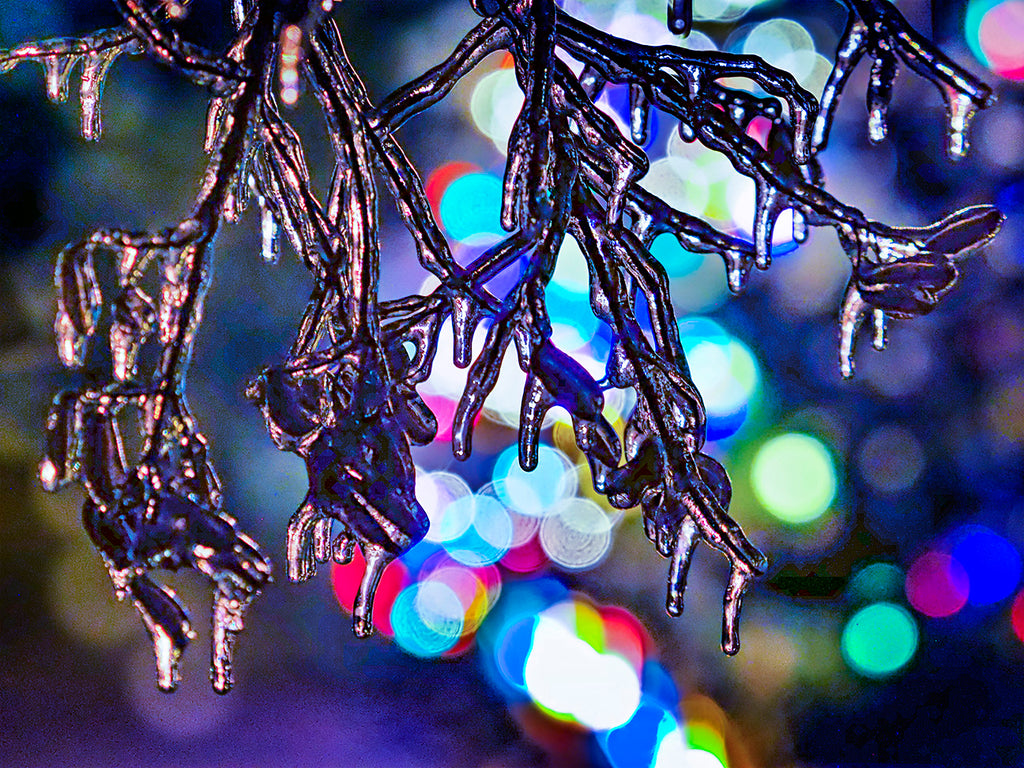 Ice Storm