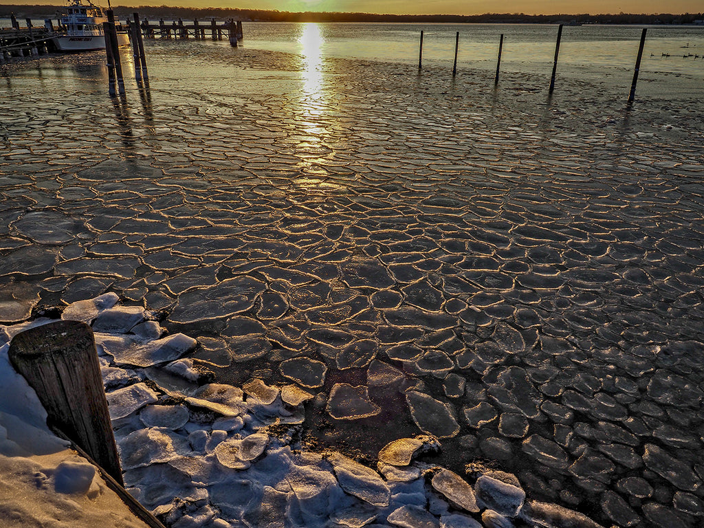 Frozen Harbor