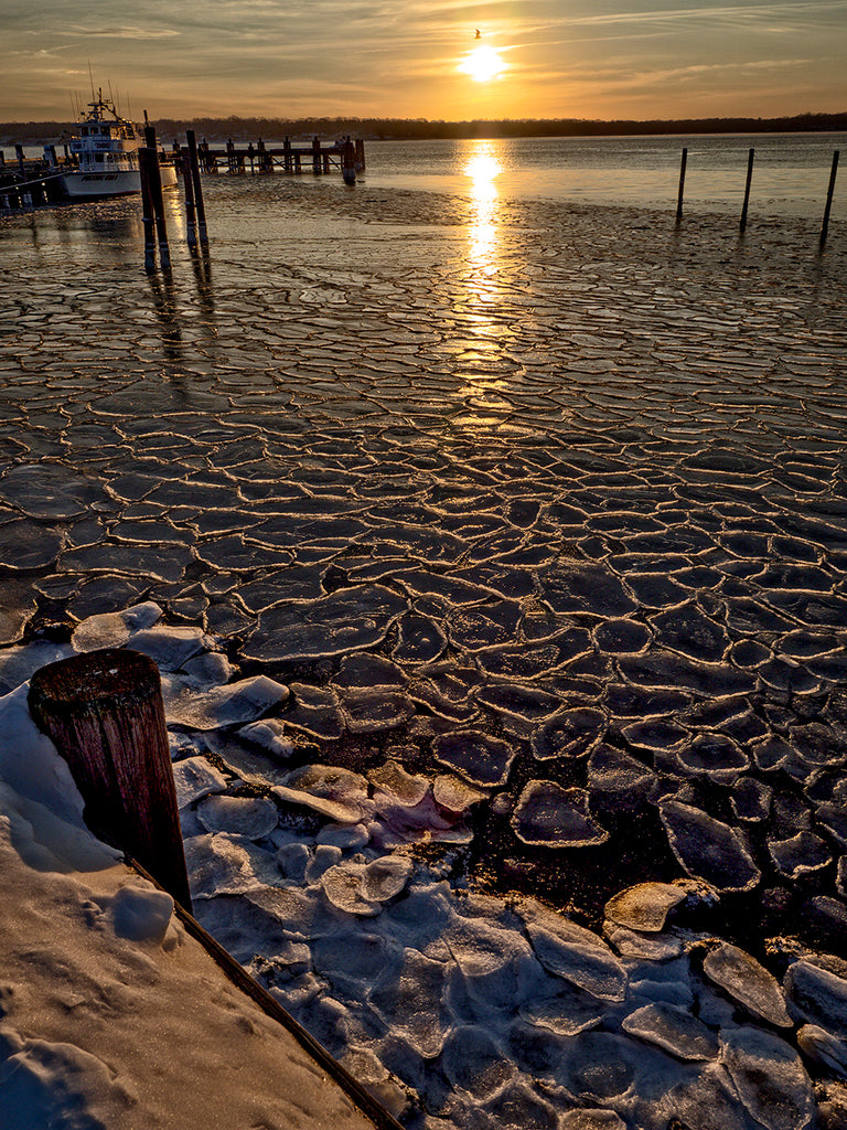 Frozen Harbor