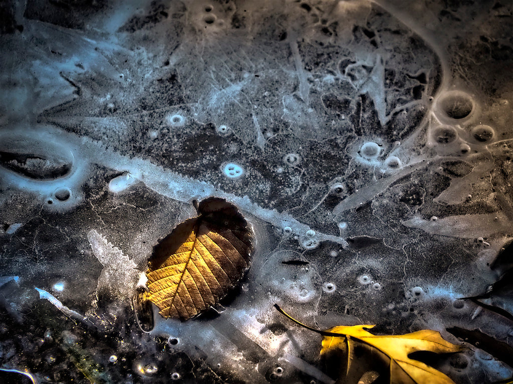 Frozen Pond