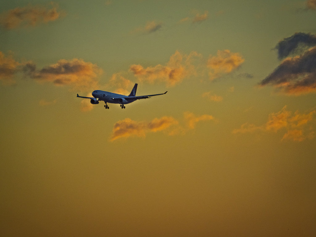 Early Morning Landing