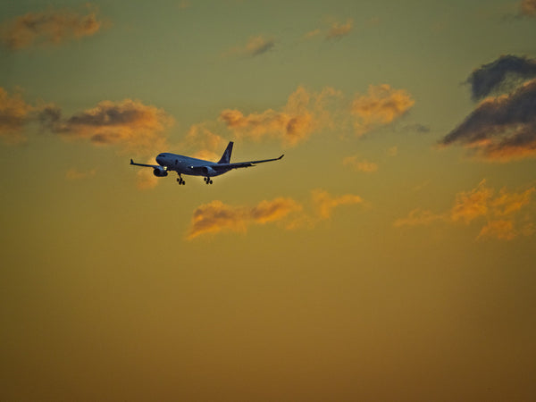Early Morning Landing