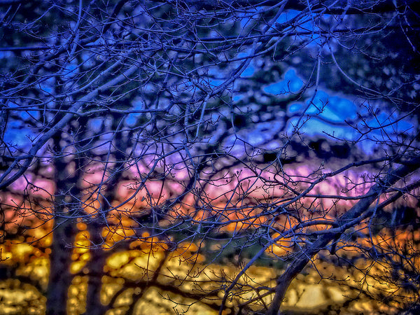 Winter Sunset