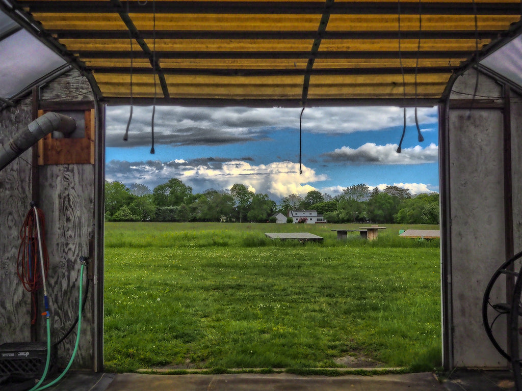 Shed Doorway