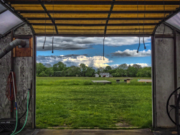Shed Doorway
