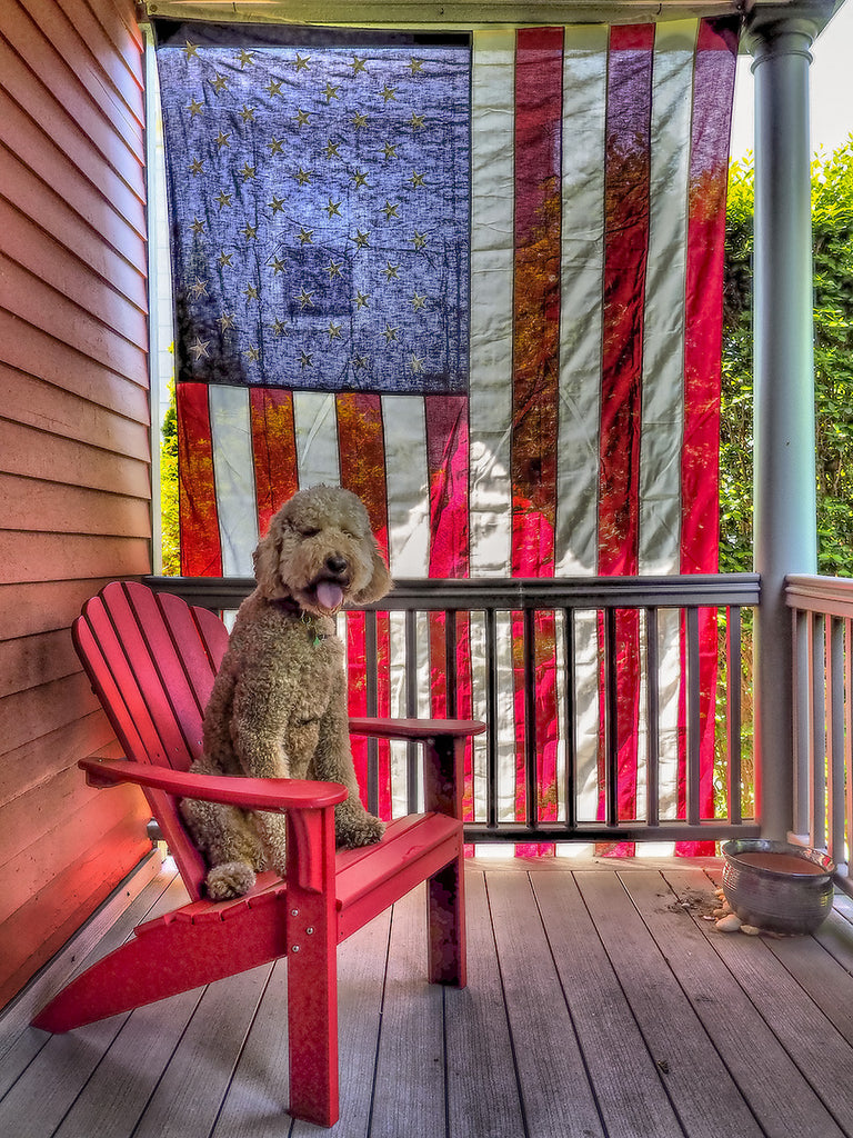 Dog Americana