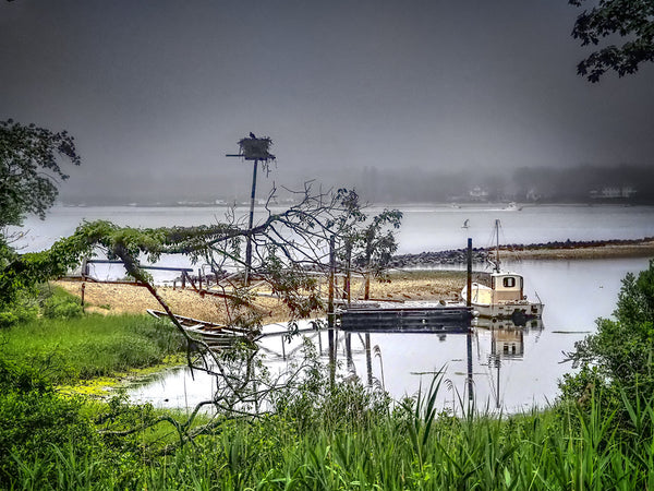Harbor Fog