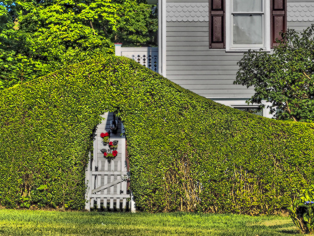 Hedge Door