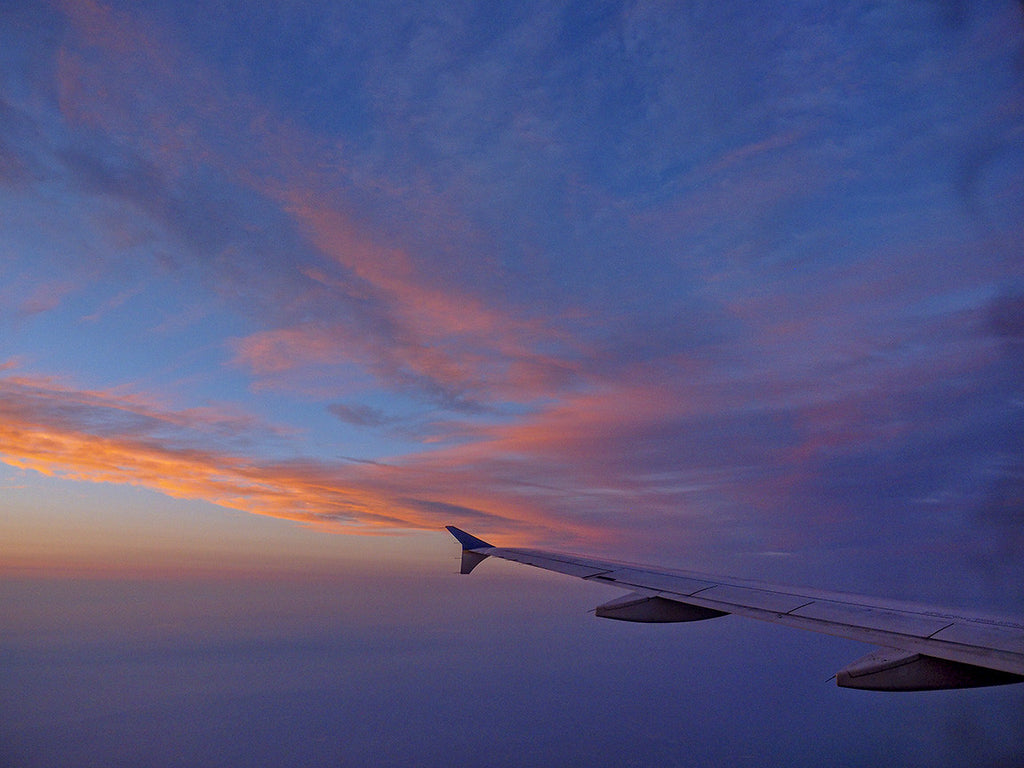Wing And A Prayer