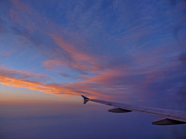 Wing And A Prayer