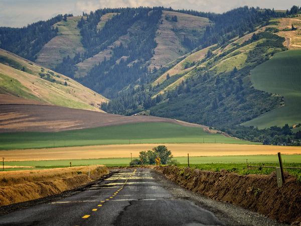 Walla Walla Road 3