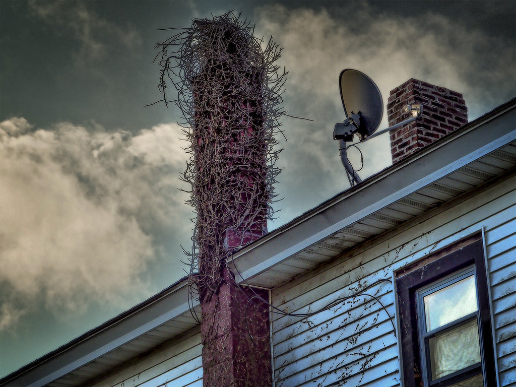 Encrusted Chimney