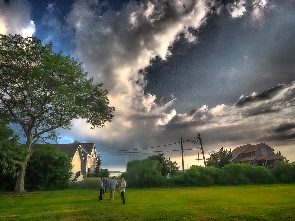 On The Lawn