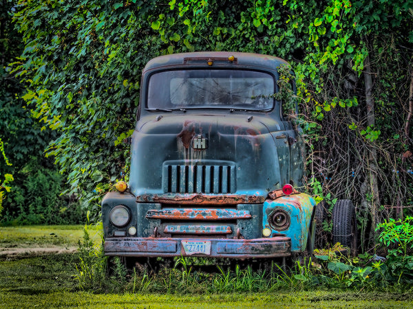 Vintage Truck In Woods