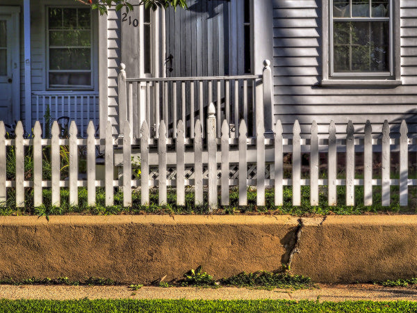 Fence Study