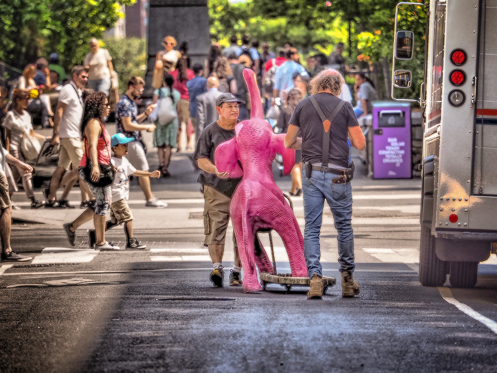 Walking the Pink Elephant
