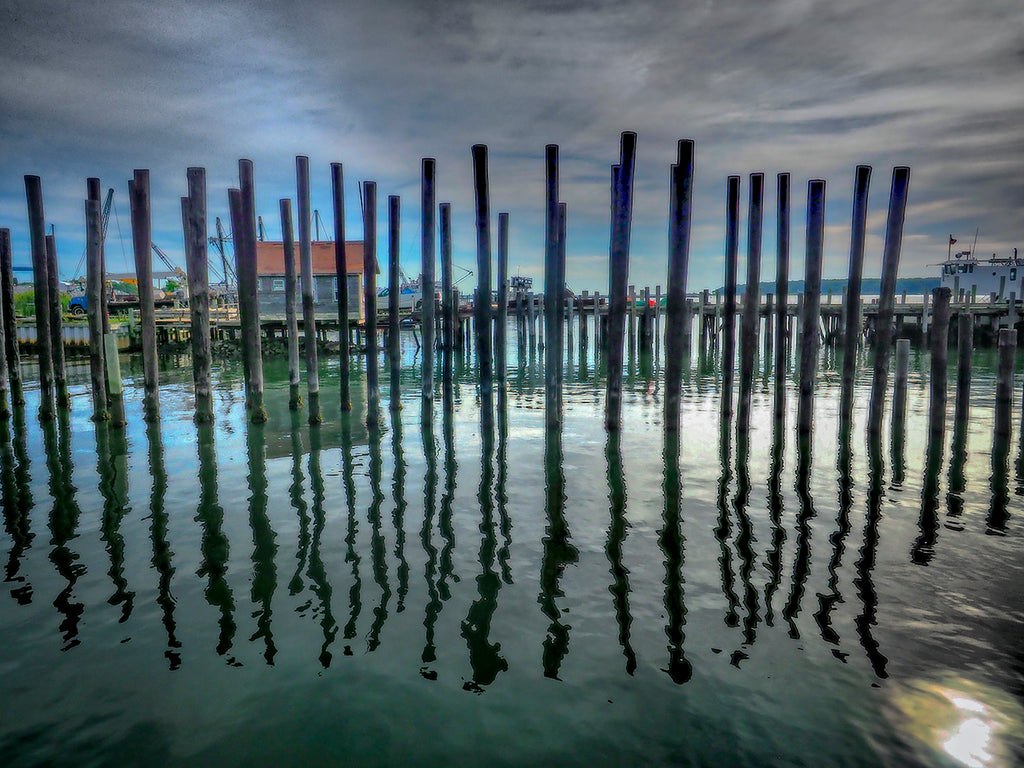 Pier Pilings