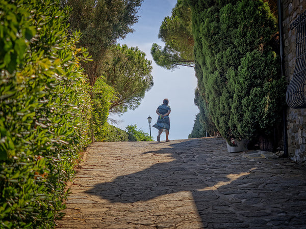 Out For A Walk
