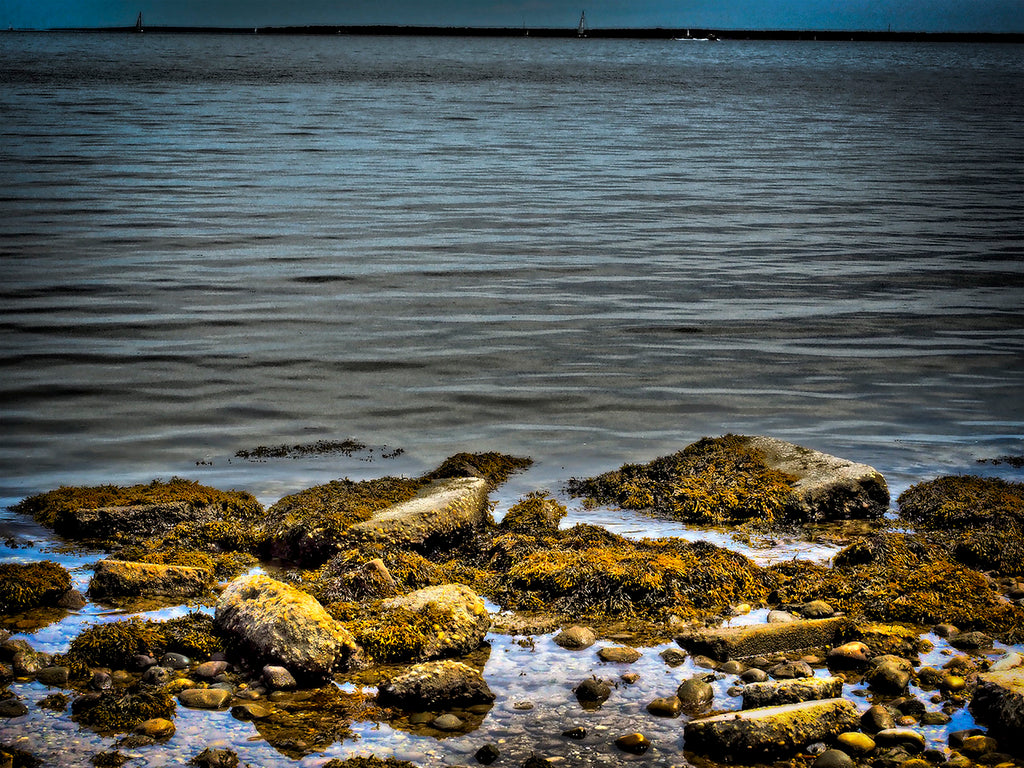 Waters Edge