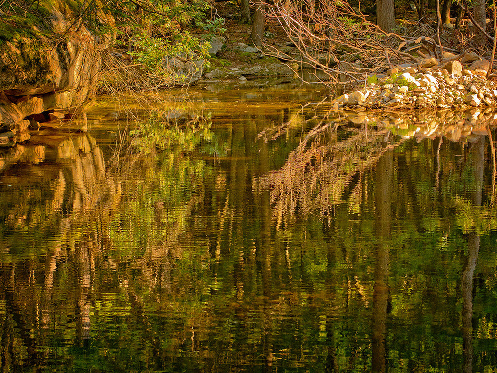Fall Reflection 2
