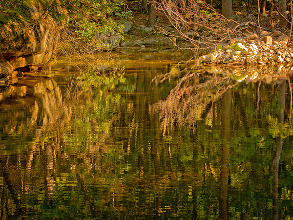Fall Reflection 2