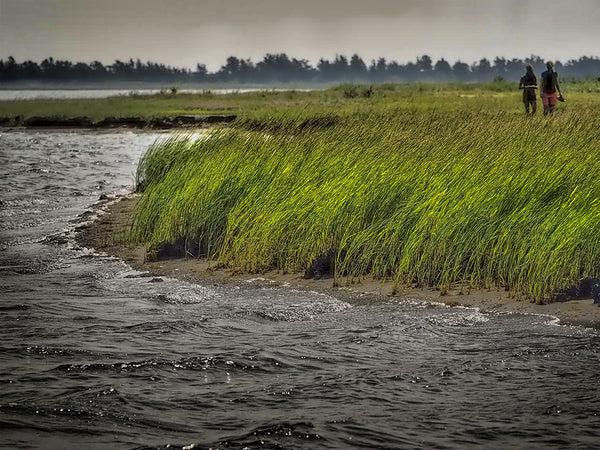 Narrow River Beach