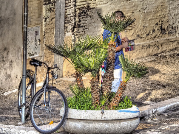 Behind the Potted Palm