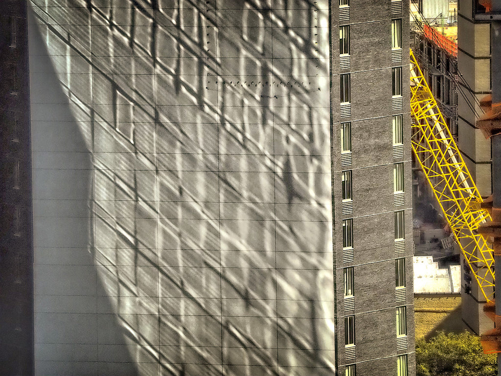 Yellow Crane
