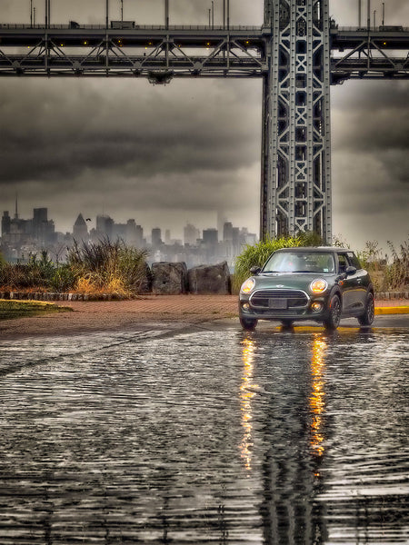 Mini And Puddle