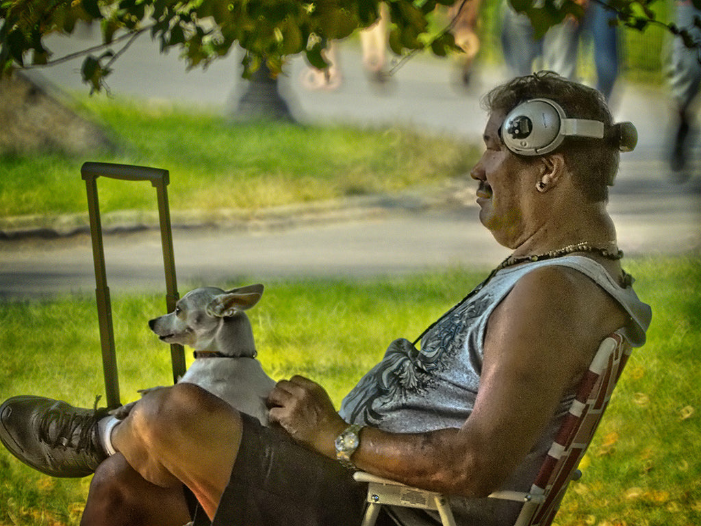 Chillin Chihuahua
