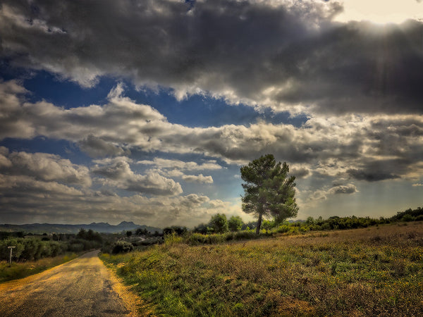 On The Road To Provence