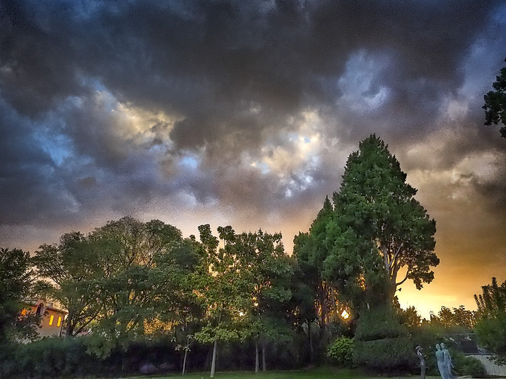 Provence Sunset