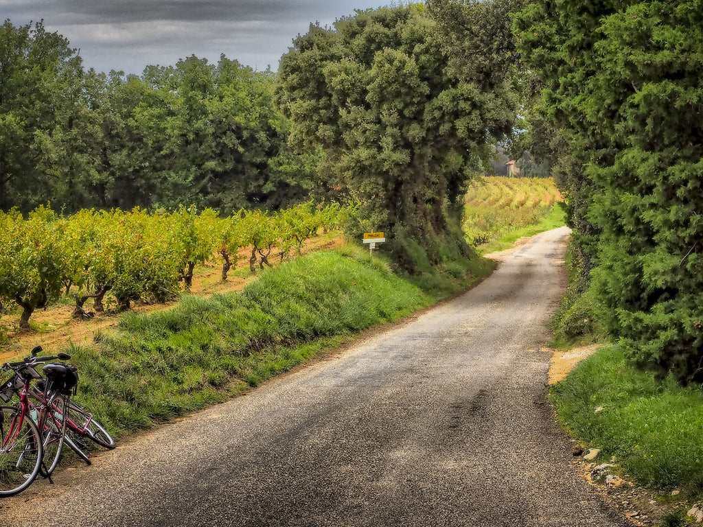 Provence Road