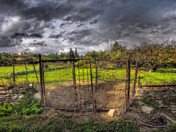 Farm Fence