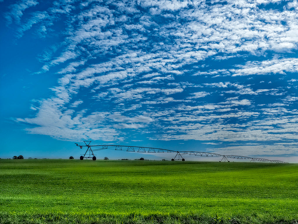 Sod Farm