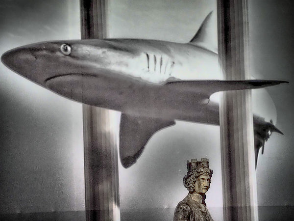 Statue And Shark