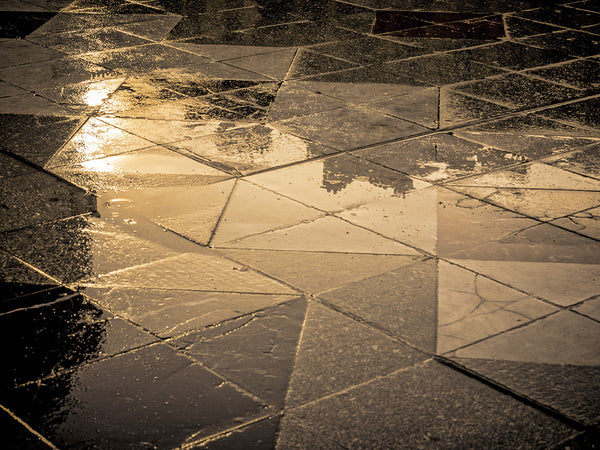 Reflections after Rain