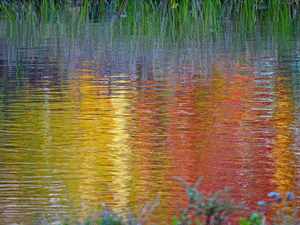 Fall Reflection 1