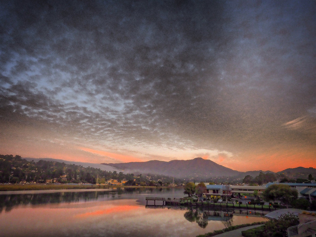 Marin Sunrise
