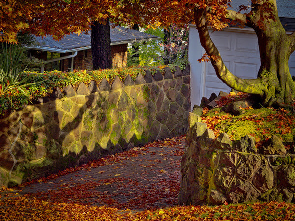 Fall Leaves in Driveway