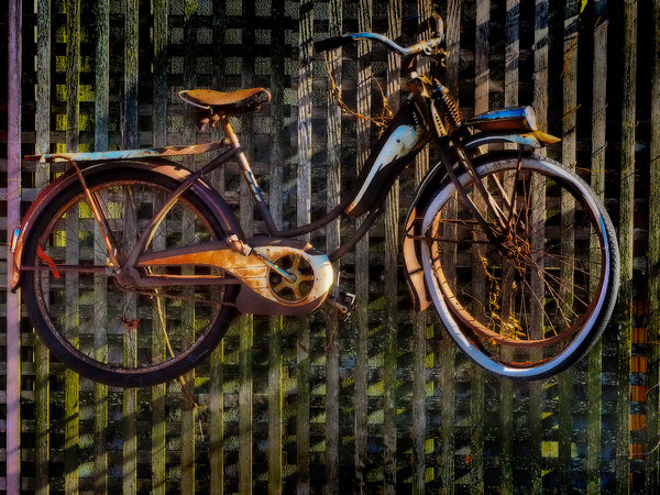 Hanging Bike