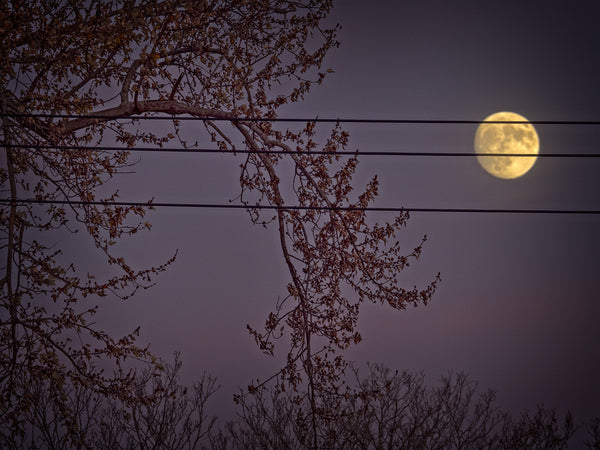 Moon On Wires