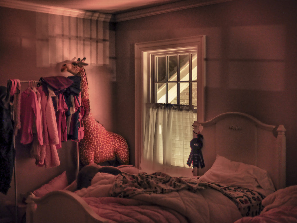 Giraffe In Room
